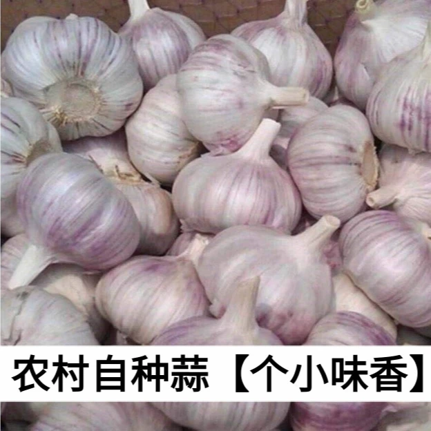 【农家大蒜】山货土货农家货