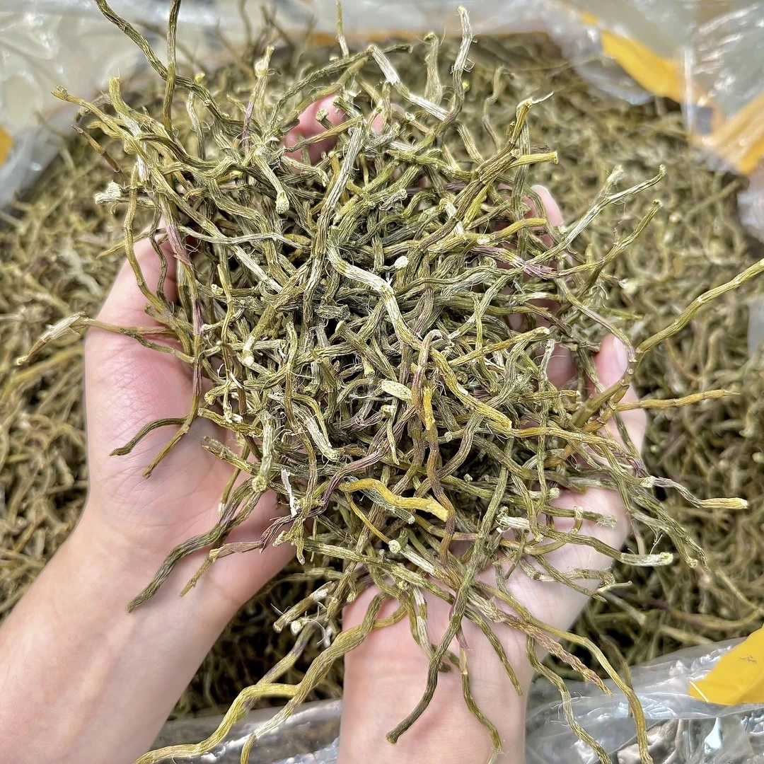 石斛 铁皮石斛干条芽条