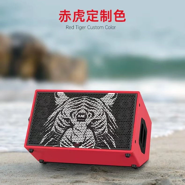 英国[KAE]数字无损环绕立体声专业舞台直播音响