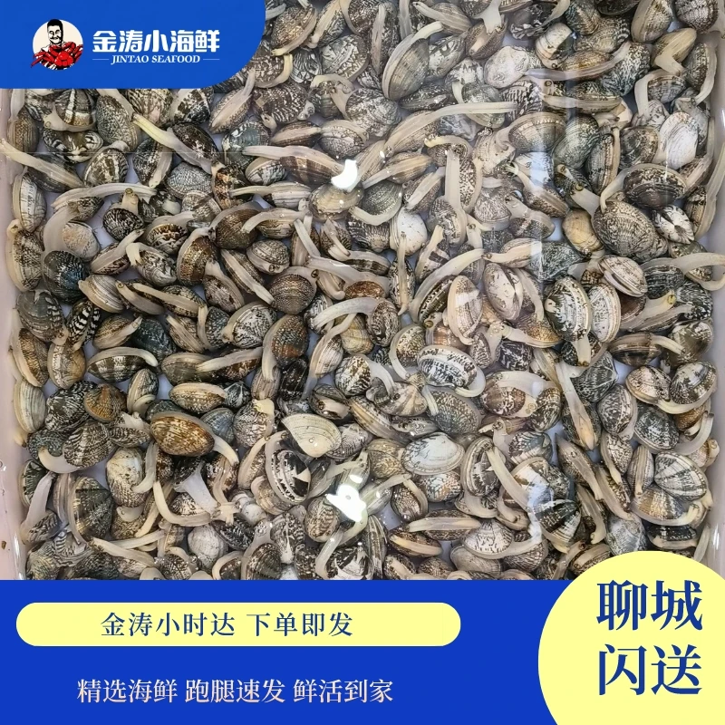 【小时达】鲜活红岛花蛤 3斤29.9