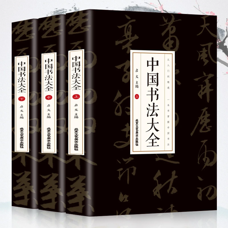 全3册中国书法大全入门到精通书法学毛笔字中国书法技法基础书籍
