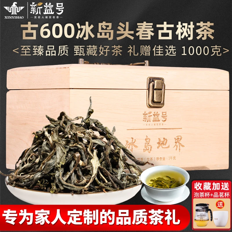 茶叶礼盒冰岛普洱茶生茶散茶2021古600古树茶云南生普礼品茶送礼