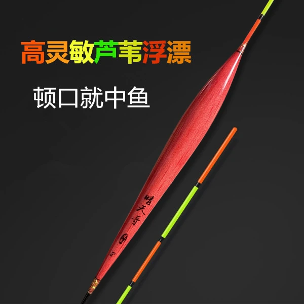 高灵敏芦苇浮漂一支