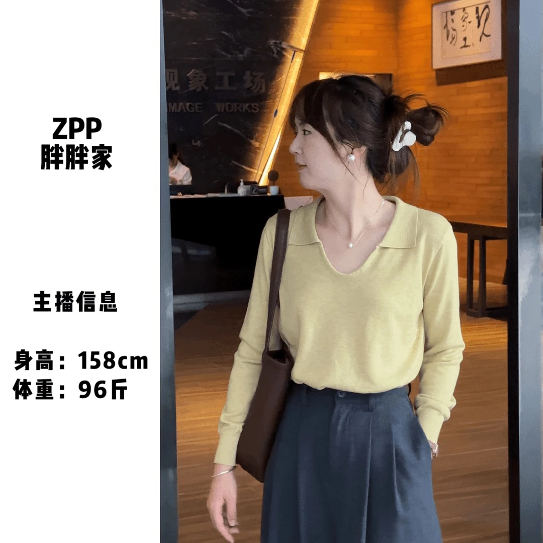 PP~胖胖家内搭长袖针织秋季新款气质时尚修身显瘦显白上衣打底衫