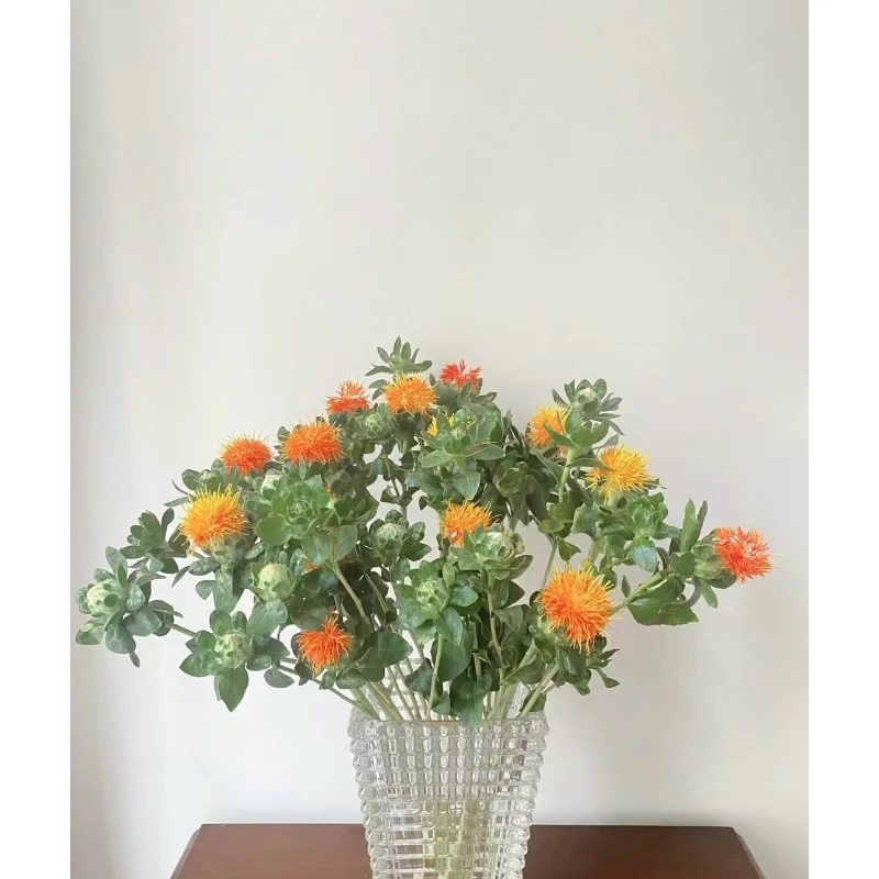 【云南中花】云南直发橙菠萝鲜花玫瑰百合月季花卉绿植现场直播批
