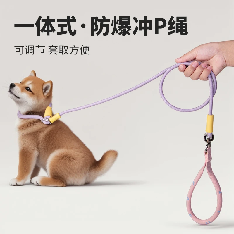 狗狗牵引赛级p链遛狗绳子防爆冲外出专用小中型犬便携式猫咪绳