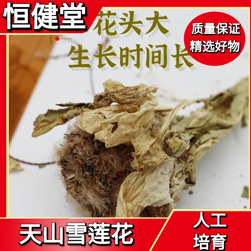 正宗新疆天山雪莲花正品雪莲花泡茶煲汤15g克一朵非野生非藏红花