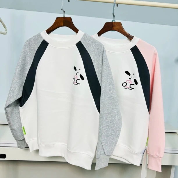 儿童休闲秋款插肩袖卫衣小狗图案拼色上衣中大童