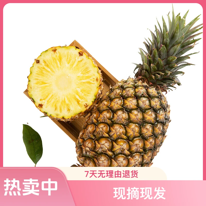 当季新鲜水果福建无眼菠萝香水菠萝大菠萝甜凤梨5斤现摘现发香甜