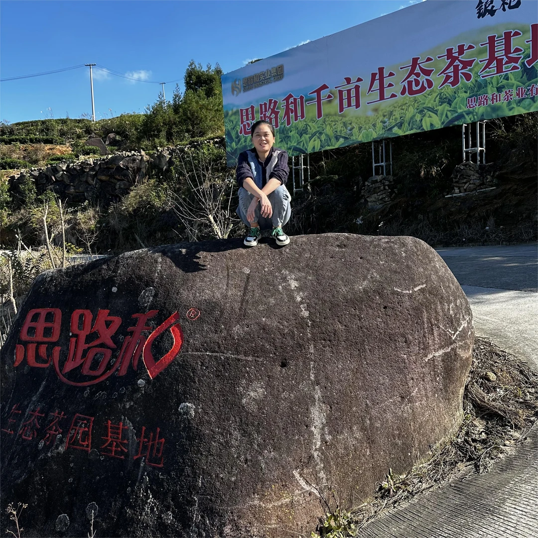 【管阳镇·思路和】首采炭焙银针2021年特级白毫银针散茶500g