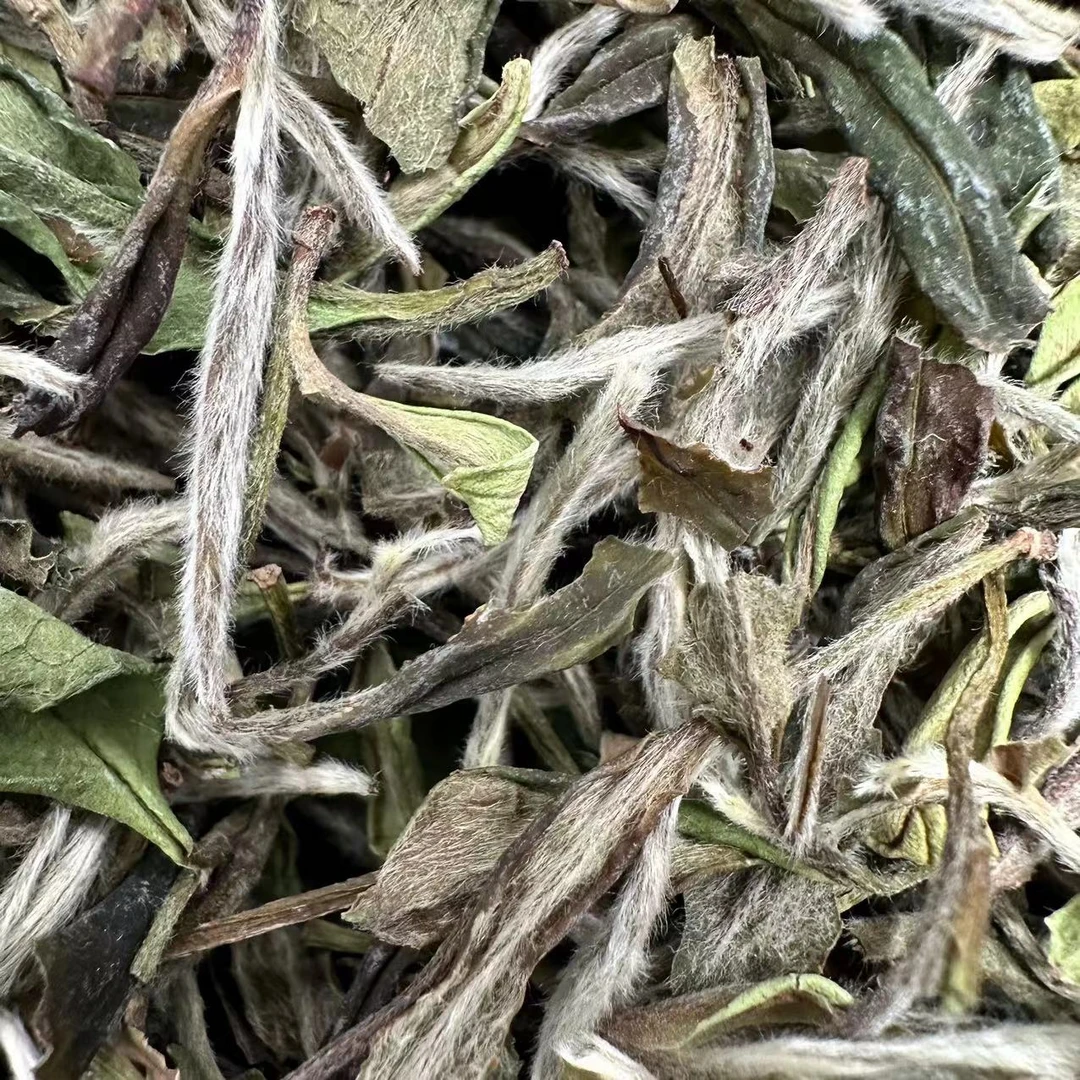 【管阳镇·思路和】贡眉王2021年一级贡眉散茶100g福鼎白茶