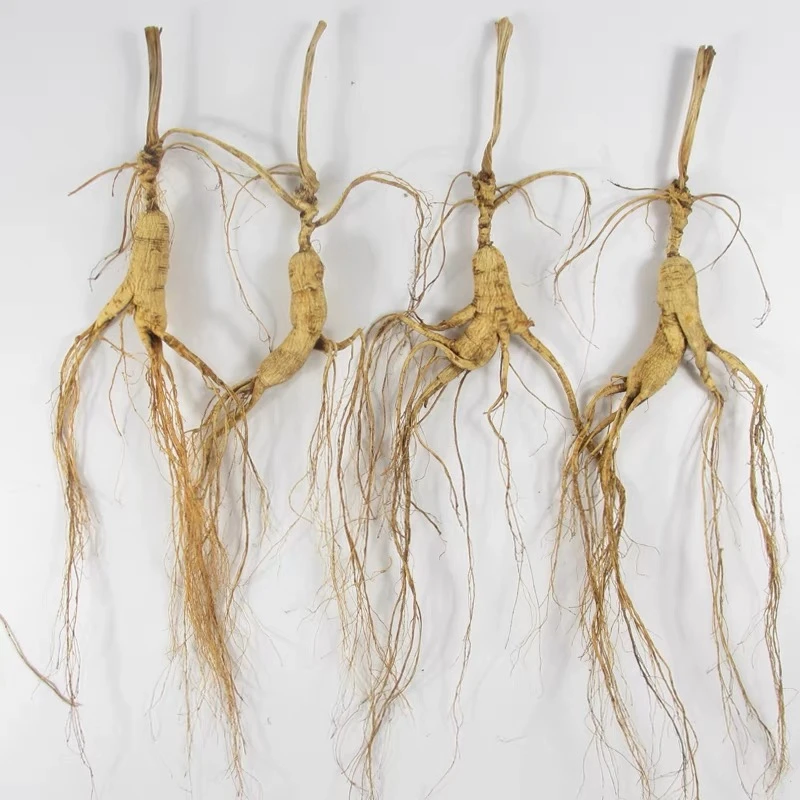 吉林长白山参人参补煲汤泡酒干货送礼林下参正宗东北