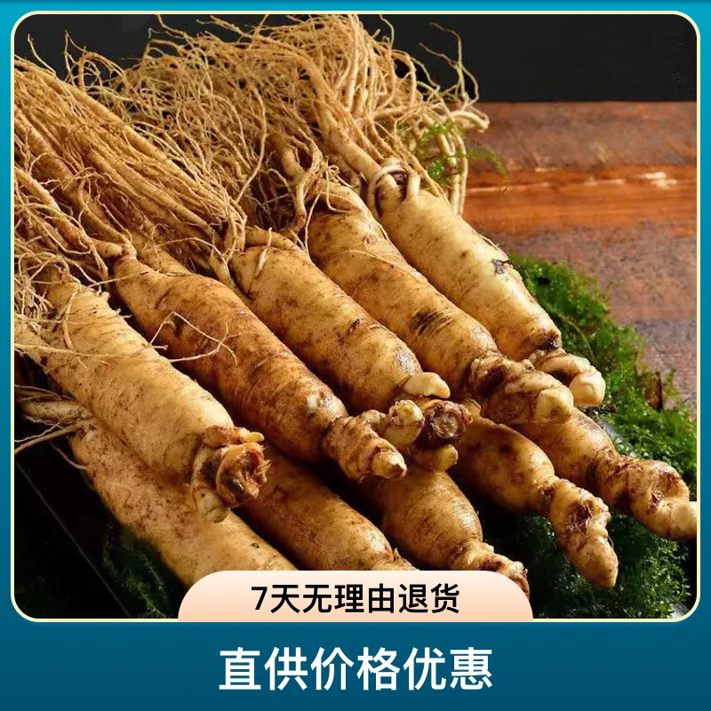 【鲜参长白山】半斤装/1斤装 泡水 煲汤 煮水