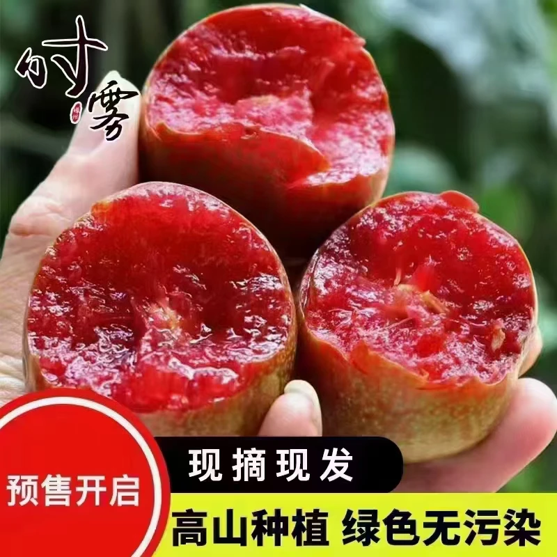 自家嵊州桃形李熟了