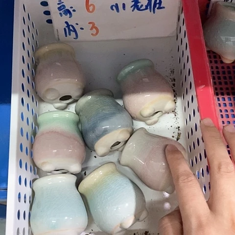 红陶20CM以下3个随机