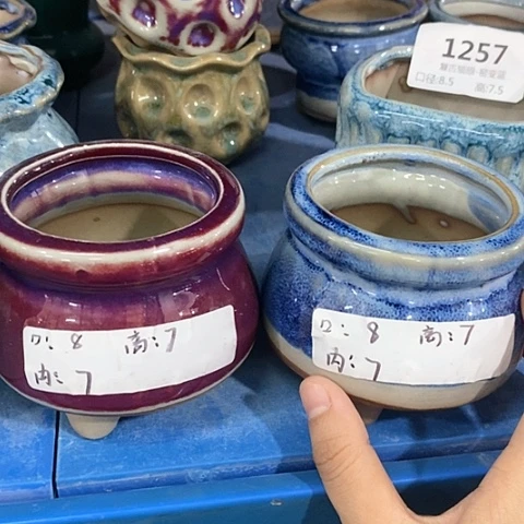 红陶20CM以下2个