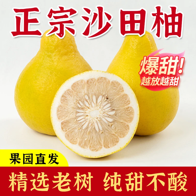 正宗广西容县沙田柚产地直发应季新鲜水果袋装放两周以上皮薄水足