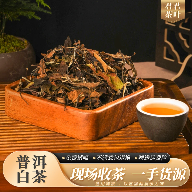709号2023年勐库大雪山古树白茶散茶(250g)12.19