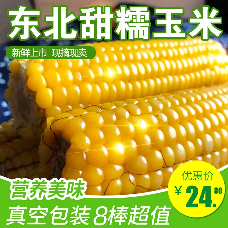 东北香甜软糯玉米240g×8支真空包装 黄糯粘苞米棒2024年新货玉米