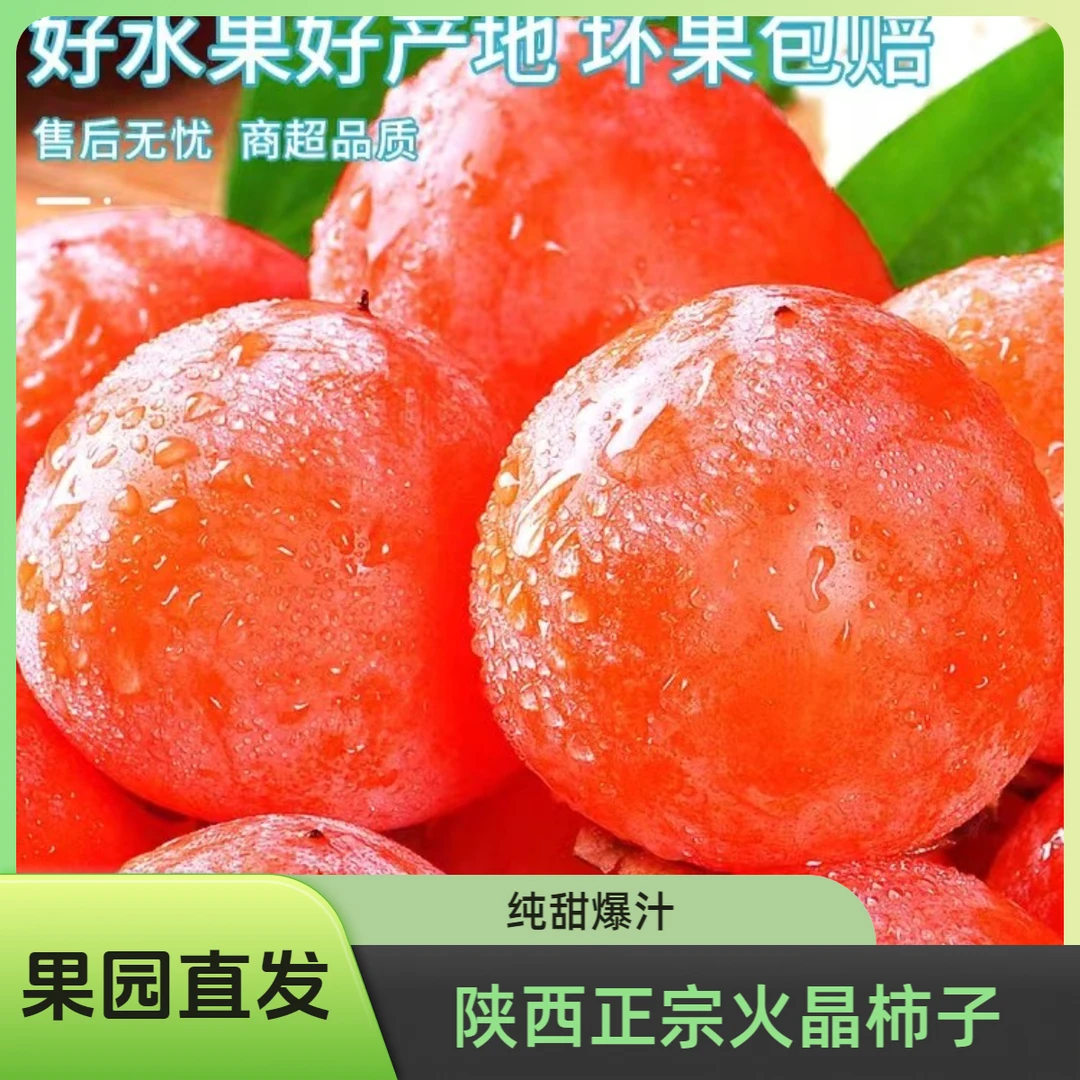 【硬果发货，放软了吃】陕西火晶柿子纯甜爆汁皮薄晶透现摘现发