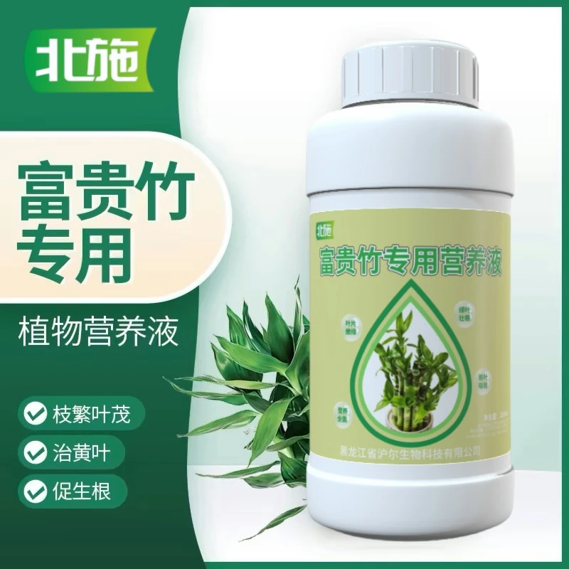 北施富贵竹专用营养液水培植物肥料转运观音竹子家用治黄叶通用