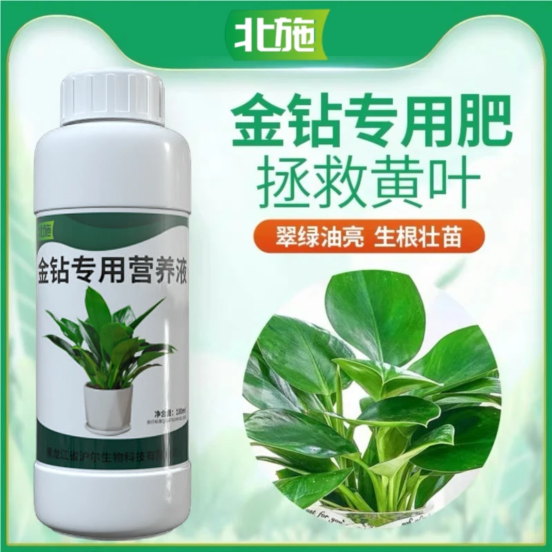 北施大叶金钻专用营养液肥黄叶卷边绿植通用型免稀释植物花肥料