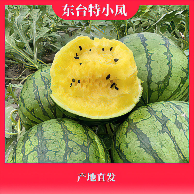 东台正宗头茬特小凤黄瓤西瓜皮薄汁多原产地现采现发破损包赔