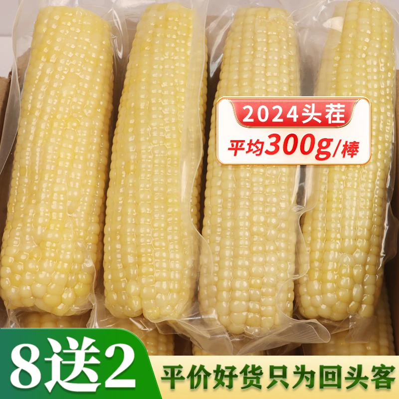 【试吃2根】2024东北正宗甜糯鲜食白玉米粘糯香甜营养健身代餐粗粮