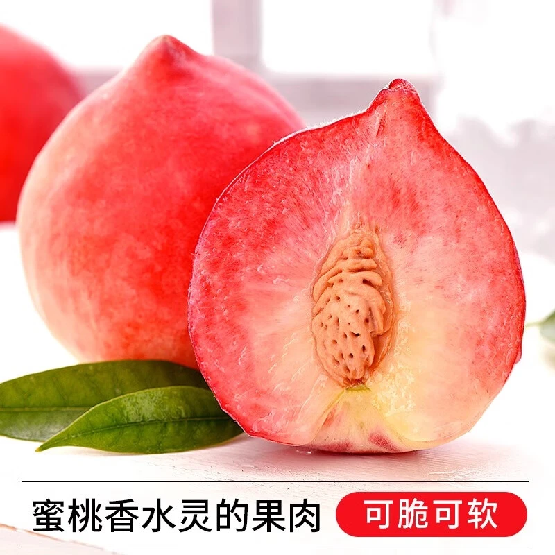 【助农乡村】水蜜桃头茬水蜜桃脆甜多汁现摘现发露天水蜜桃 5斤装
