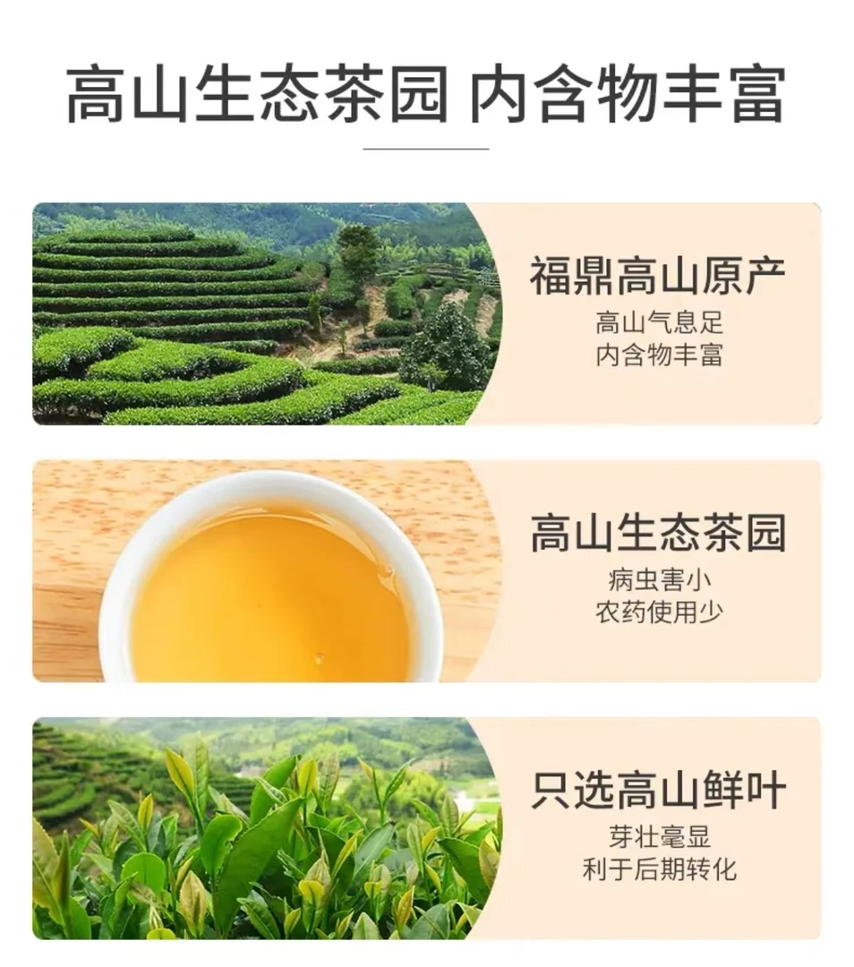 【大乔】管阳高山一级白牡丹2021年管阳首届云雾杯茶王赛口感奖