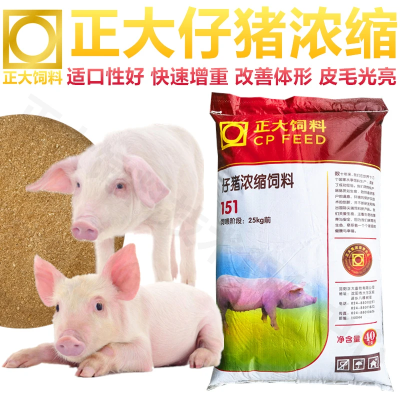 正大仔猪浓缩饲料小猪中猪大猪出栏用保育仔猪浓缩料包邮