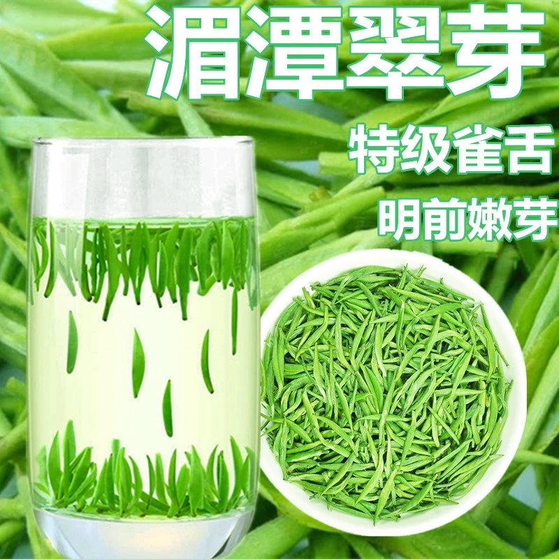 早春采摘鲜嫩品质湄潭翠芽2025新茶春茶明前雀舌绿茶叶