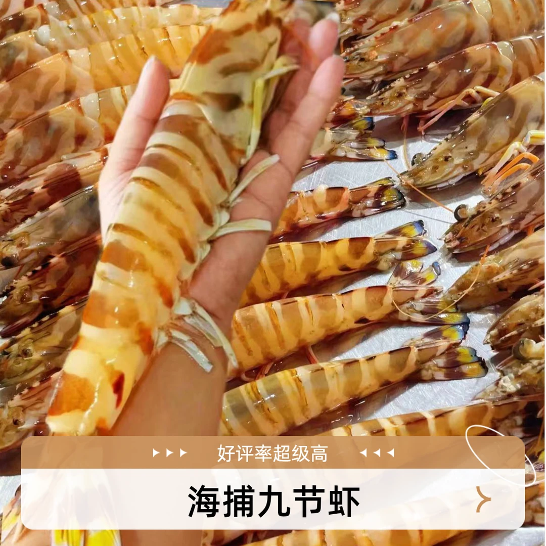 [活冻]营养大虾福建大九节虾/斑节虾/竹节虾海鲜水产