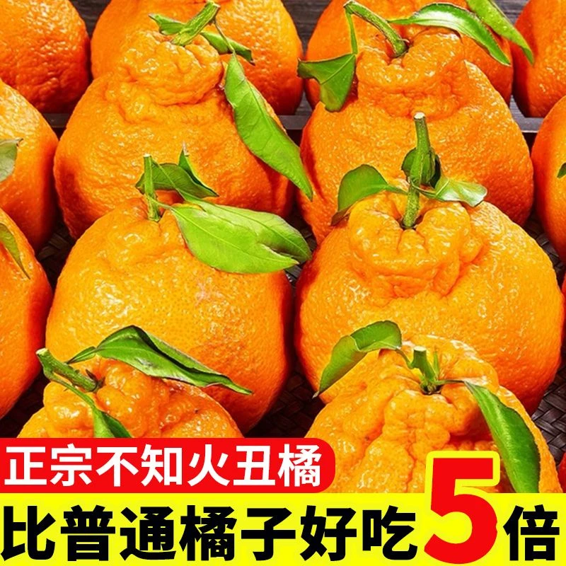 正宗四川春见耙耙柑现摘发货新鲜时令水果应季爆浆丑橘礼盒装包邮