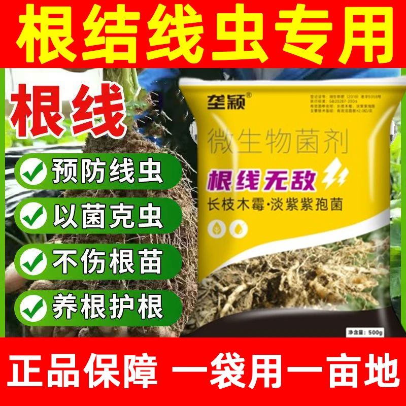 【工厂直销】根结线虫微生物菌剂根线清专用淡紫紫孢菌长枝木霉菌