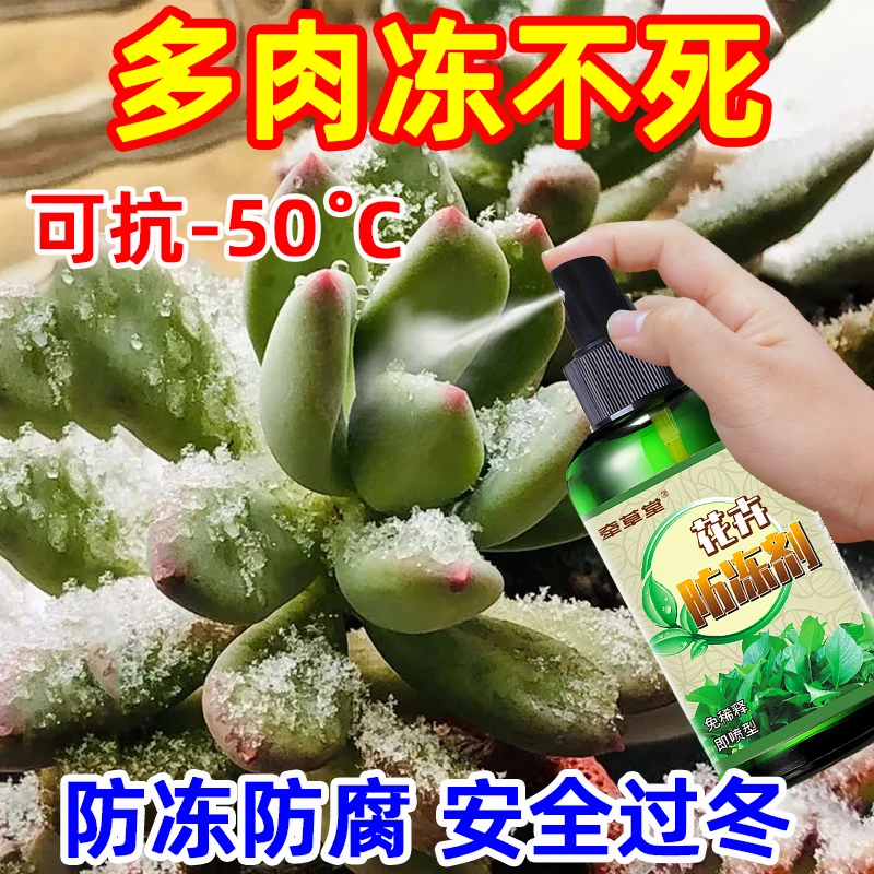 多肉防冻液法师抗寒防冻花卉专用防冻剂液花卉绿植通用