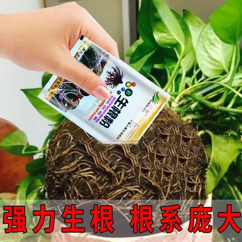 生根粉多菌灵大树移栽多肉月季发财树绿植果树插扦促生根