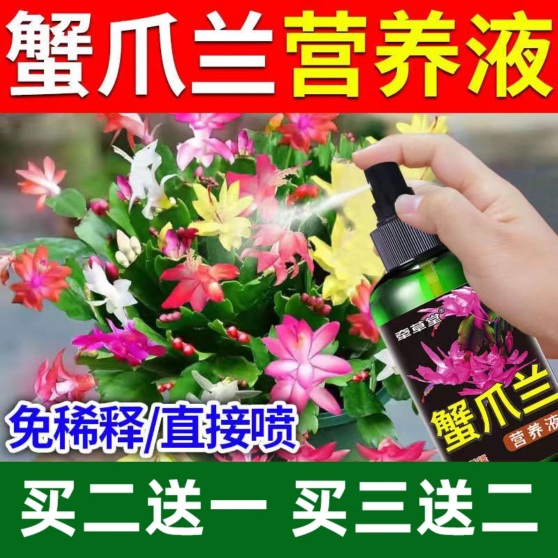 蟹爪兰专用营养液催花促开花肥料专用肥叶子发蔫变软干瘪怎样补救