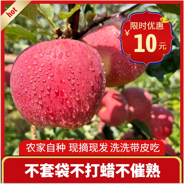 云南昭通高原冰糖心丑苹果新鲜水果现摘现发五斤包邮（粉丝专享）