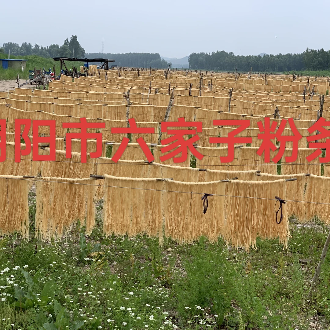 【刚哥专享】朝阳六家子手工粉条5斤宽细可选