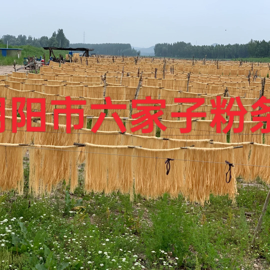 【小秦专属】辽宁朝阳六家子手工粉条5斤宽粉、细粉可选
