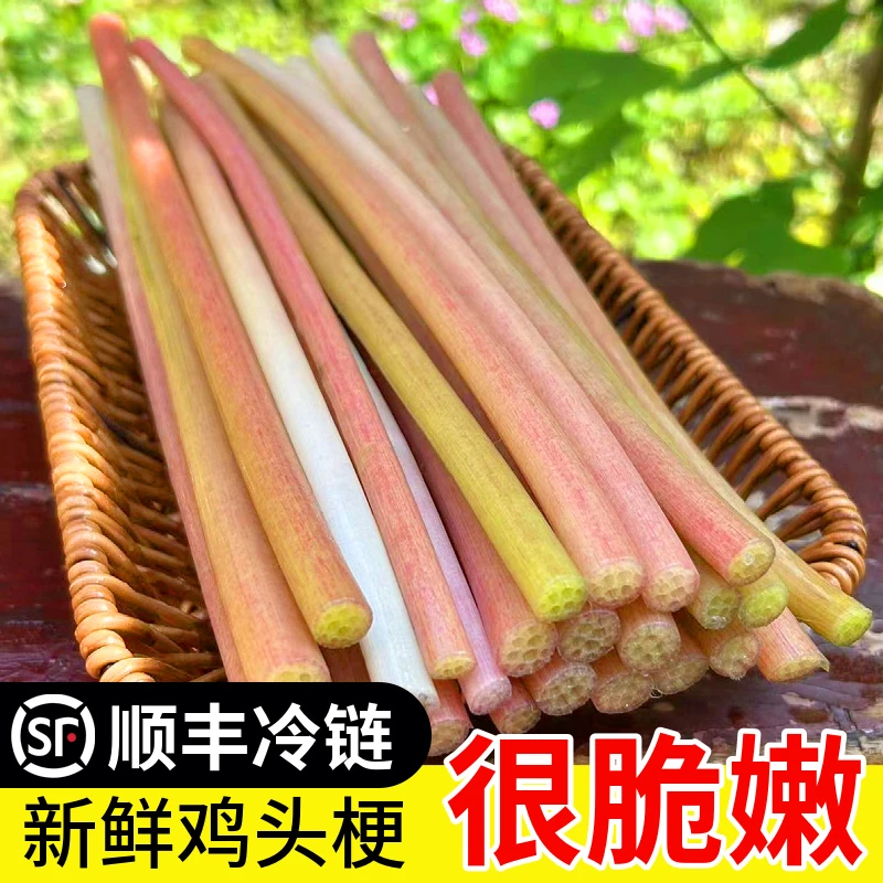 A新鲜鸡头梗芡实梗湖北农家特产蔬菜当天采摘去皮睡莲梗顺丰冷链