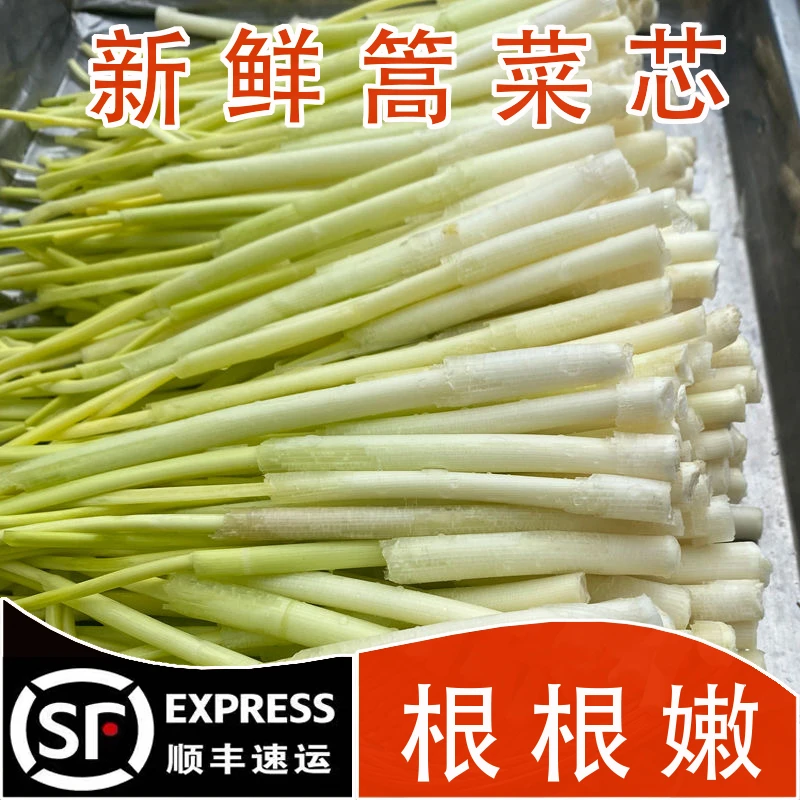 顺丰包邮野生嫩茭白苗嫩芽新鲜湖北特产高菜时令蔬菜野篙菜菜心芽