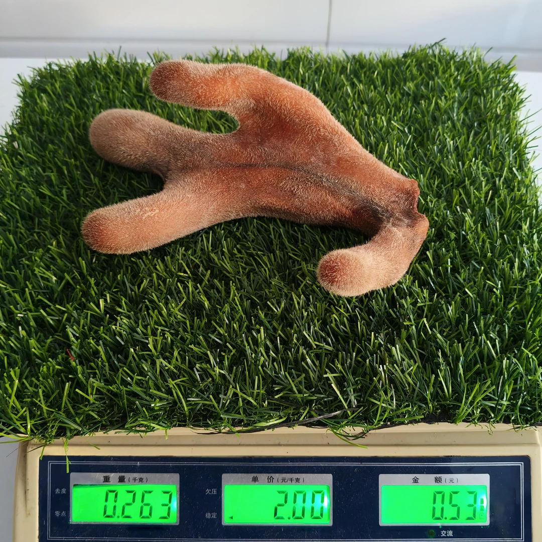 莲花鹿茸（现货图片）