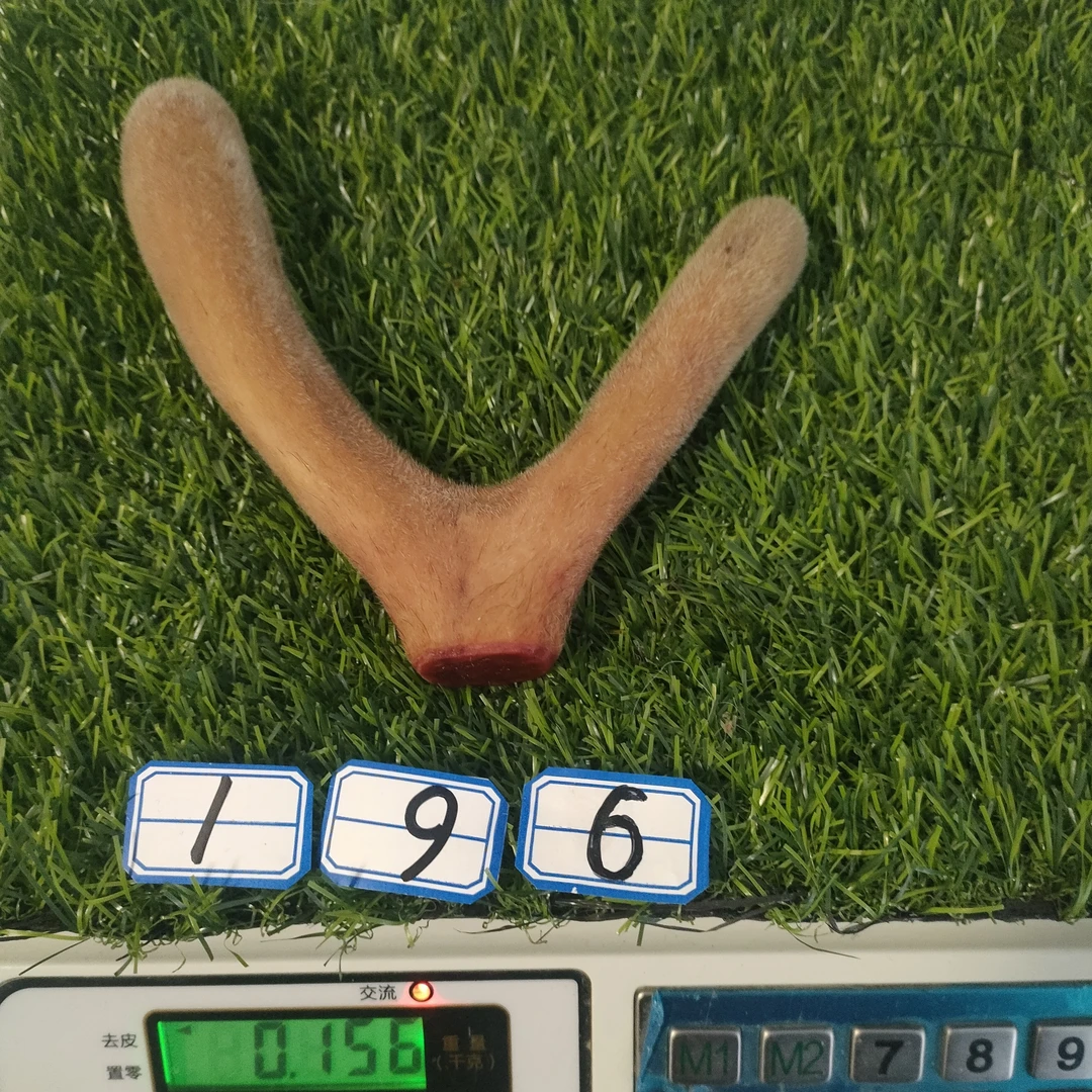 鲜鹿茸整枝二杠直播选吉林鹿乡