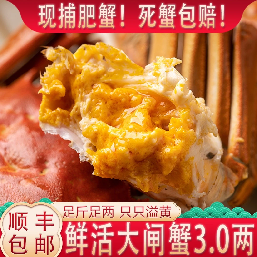 【活蟹】母蟹3.0两肥黄 6只 精品江苏固城湖大闸蟹湖水顺丰包邮 T8