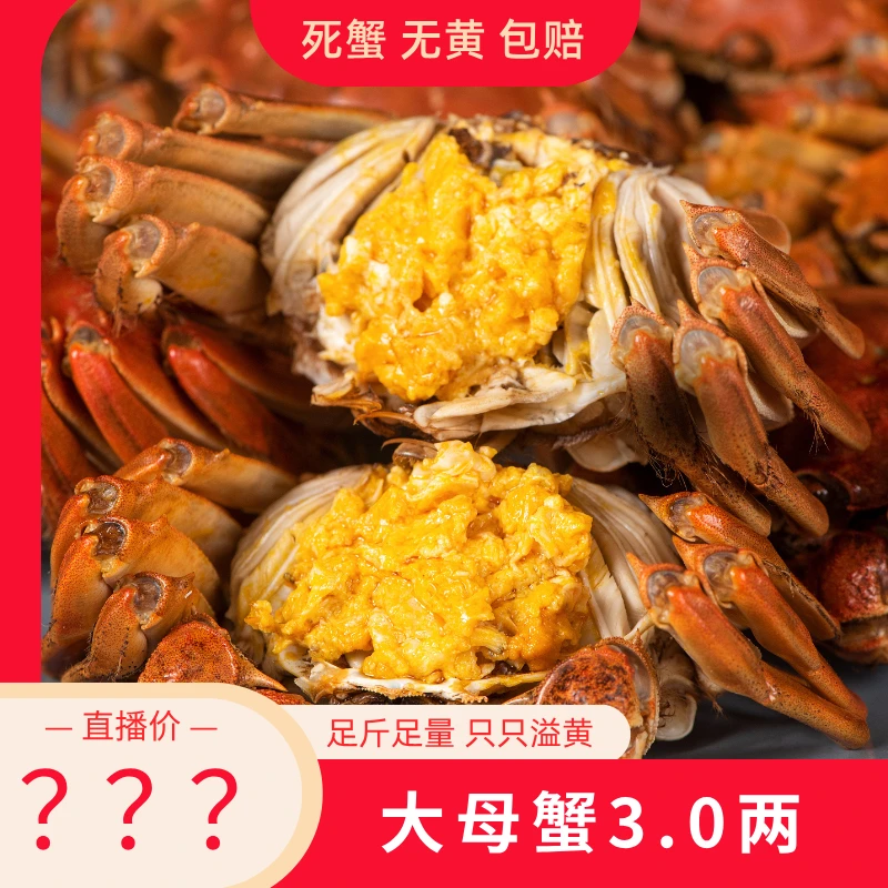 【精挑蟹】3.0两 全母蟹 8+2只 正宗江苏大闸蟹精品湖水蟹 T10