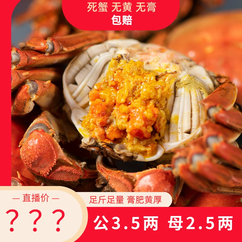 Q正宗江苏固城湖精挑湖蟹  [3.5两公蟹4+1]  [2.5两母蟹4+1] 只