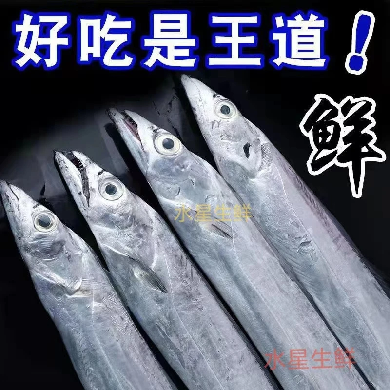 爆爆单专属【整条钓带】 新鲜速冻海钓野生带鱼 五斤 到手11-14条