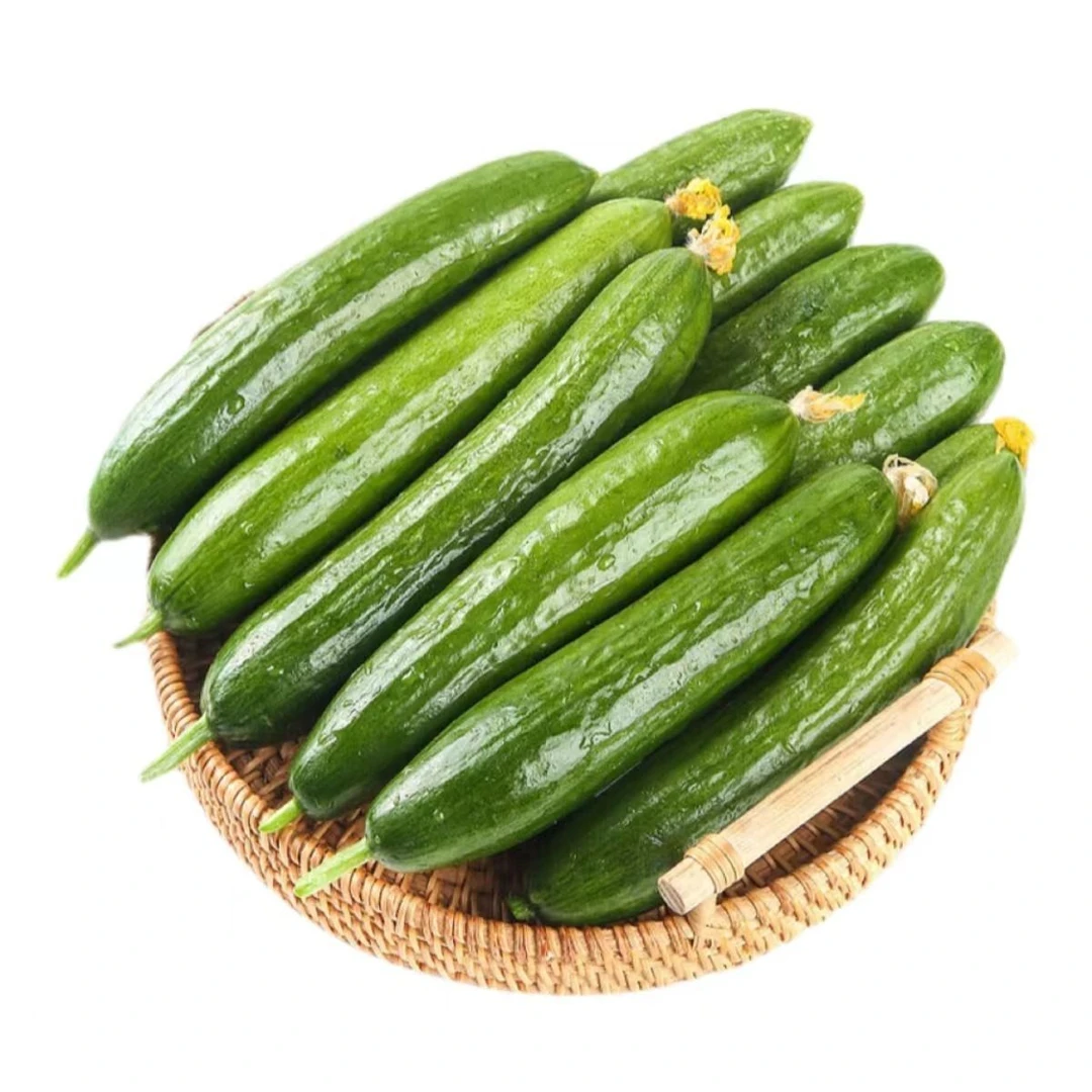 【限量抢】新鲜水果黄瓜净重1.25kg/件黄瓜同城送黄瓜同城配